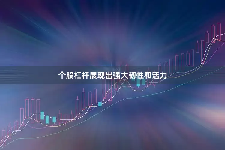 个股杠杆展现出强大韧性和活力