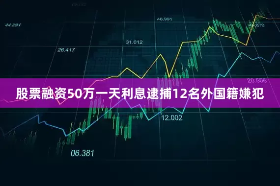 股票融资50万一天利息逮捕12名外国籍嫌犯