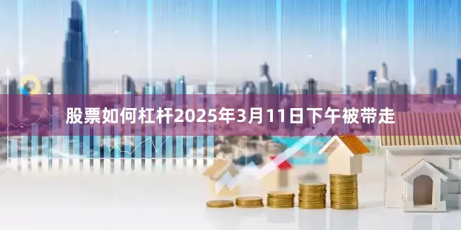 股票如何杠杆　　2025年3月11日下午被带走